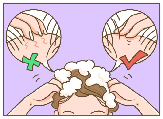 洗发水.png 洗发水.png